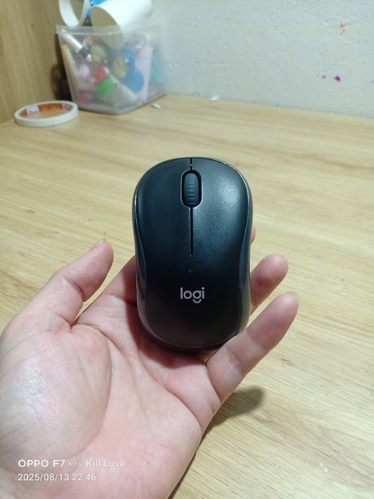 Chuột không dây Logitech B175 - Nhỏ gọn, tiện lợi