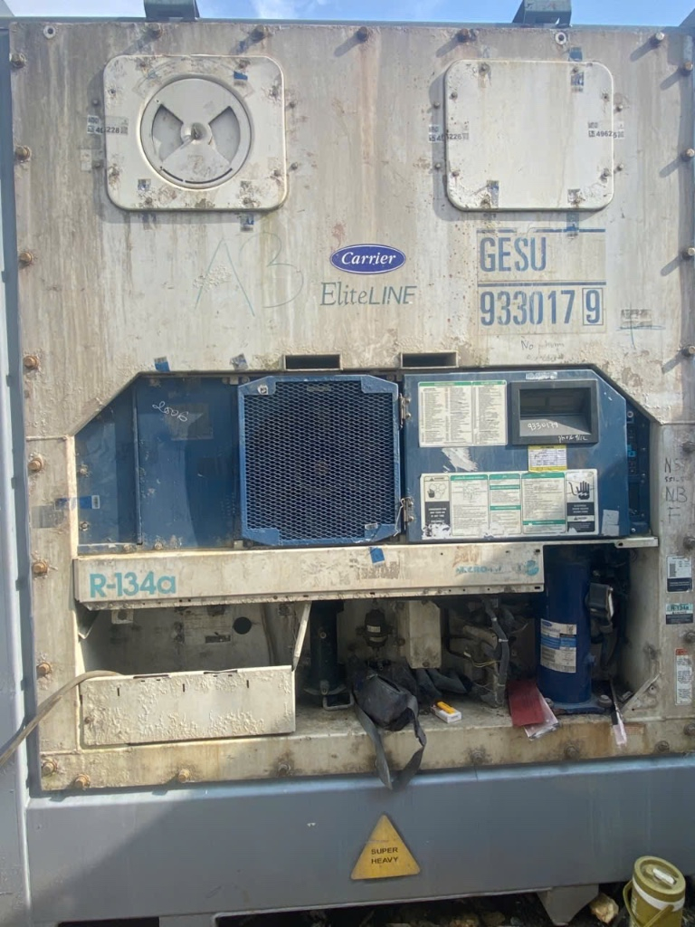 CONTAINER 20FT + carrier elinelite