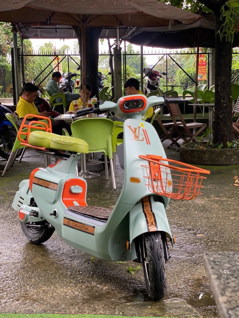 Xe Điện Độ Phong Cách Louis Vuitton - Giá Tốt!