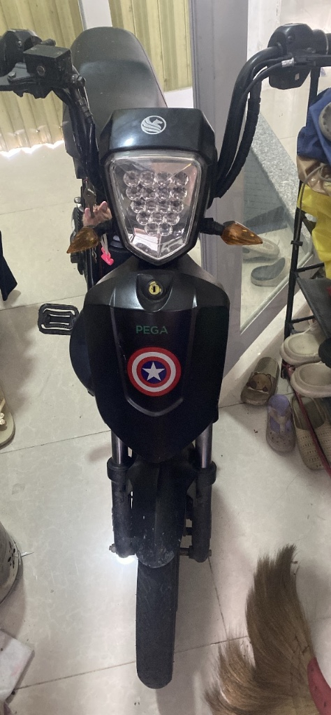 Xe đạp điện Pega cũ giá rẻ