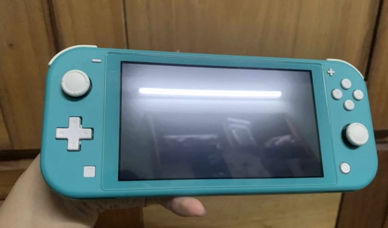 Nintendo Switch Lite h@ck 256GB