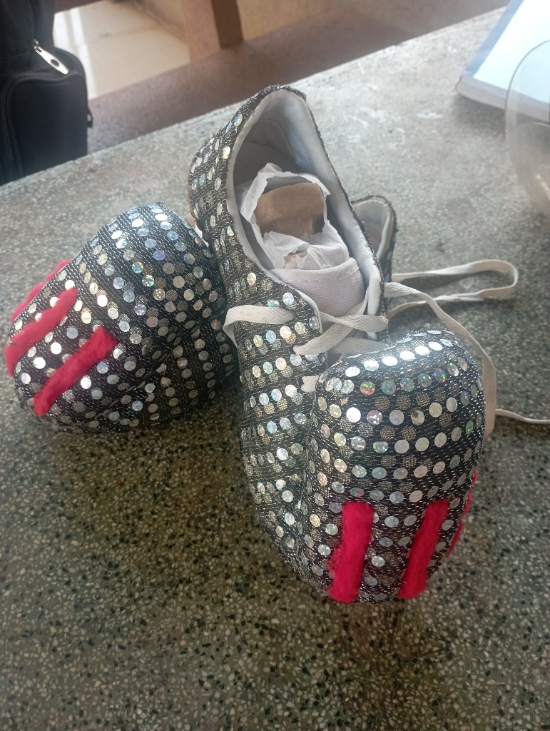 Giày thể thao múa lân size 39