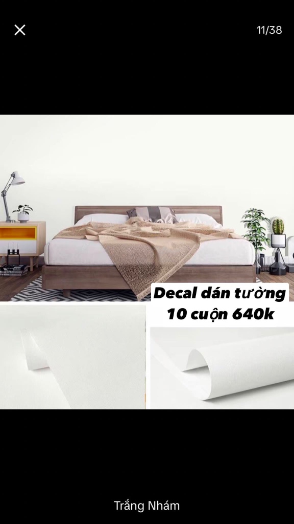 Decal dán tường trang trí đẹp mắt - 10 cuộn, 640k