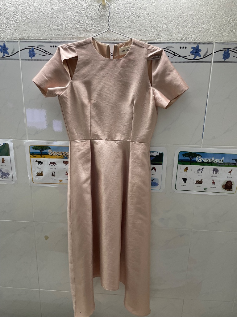 Elegant Pink Dress for Women